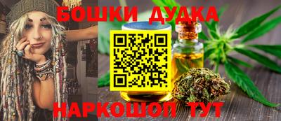 индика Ливны