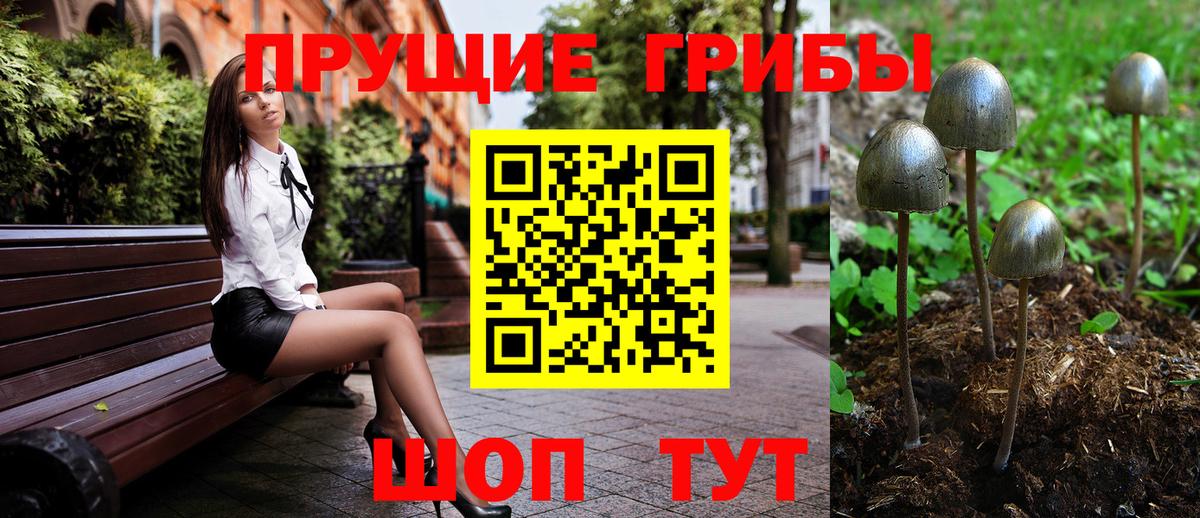 Галлюциногенные грибы Psilocybine cubensis Бирск