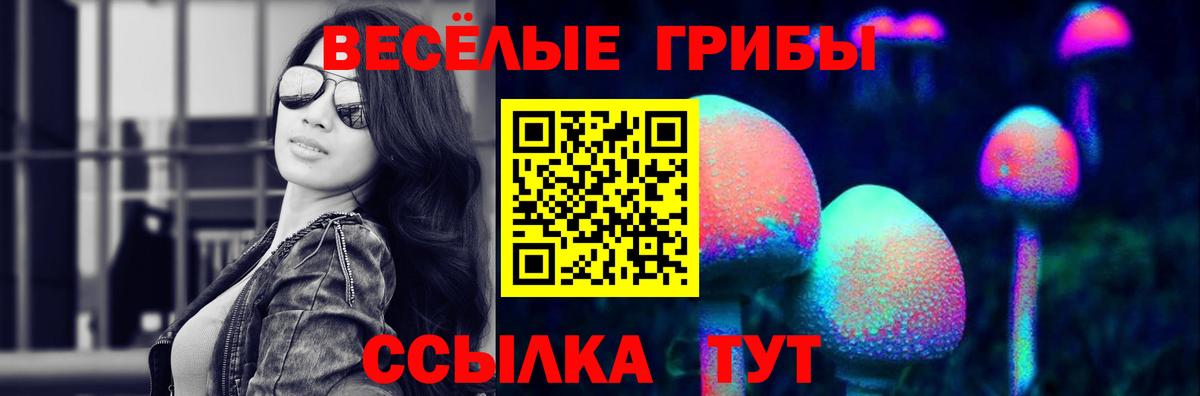 Галлюциногенные грибы Psilocybe  Вход с VPN  Псилоцибиновые грибы ЛСД  Бирск 